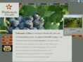 pedernalescellar.com