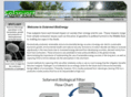 solarvestbioenergy.com