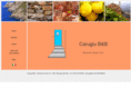 carugiu.com