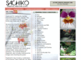 omcsachiko.com