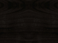 robhalleditor.com