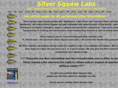 silversquawlabs.com