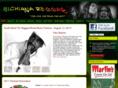 southbendreggae.com