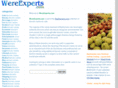 wereexperts.com