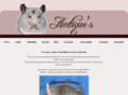 antiqueschinchilla.com