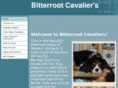 bitterrootcavaliers.com