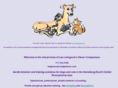 clevercompanions.com