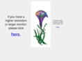 halfmoonstudio.com