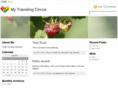 mytravelingcircus.com