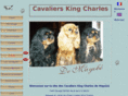 cavalierkingcharles-de-mayobe.com