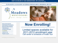 meadowscenter.com