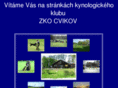cvikov.com