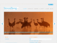 stevenzheng.com