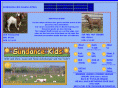 sdksundancekids.com