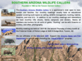 soazwildlifecallers.org