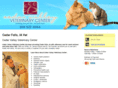 cedarvalleyvet.net