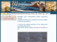 mermaidsgrotto.net