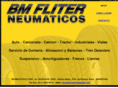 neumaticosfliter.com