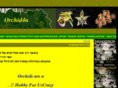 orchid4u.com
