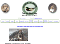 pluck-a-duck.com