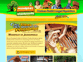 woodplayjax.com