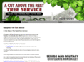 acutabove-va.com