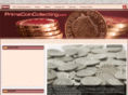 primecoincollecting.com