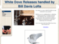 billdavislofts.com