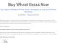 buywheatgrassnow.com