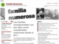 familianumerosa.es