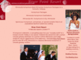 minnesotahoneymoon.com