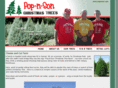 popnson.com