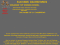 auchansdachshunds.org
