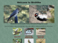 birdhike.com