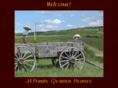 perrinquarterhorses.com