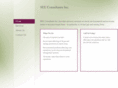 seeconsultantsinc.com