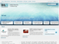 bs2outsourcing.com
