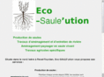 eco-saule.com