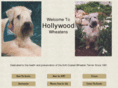 hollywoodwheatens.com