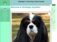 huntleighcavaliers.com