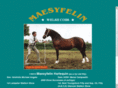 maesyfelin.com