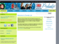 proludicplayequipment.com