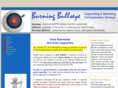 burningbullseye.com