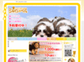 shine-bell.com