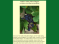 theyadkinvalleywineregion.com
