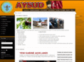 aysud.com