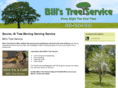 billstreeserviceboone.com
