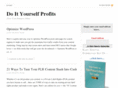 diyprofits.com