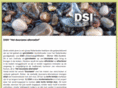 dsi-infiltratie.com