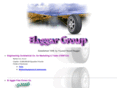 elaggargroup.com